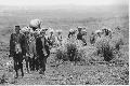 hutu menekltek, 1972
